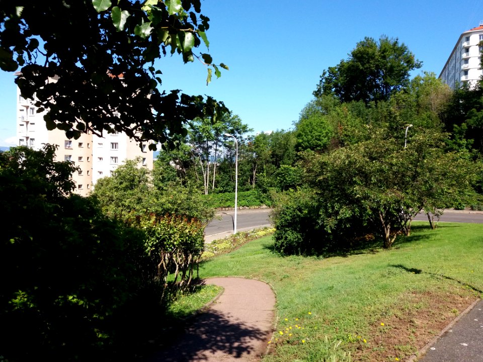 Lyon 5e - Jardin Francine Chollet, allée