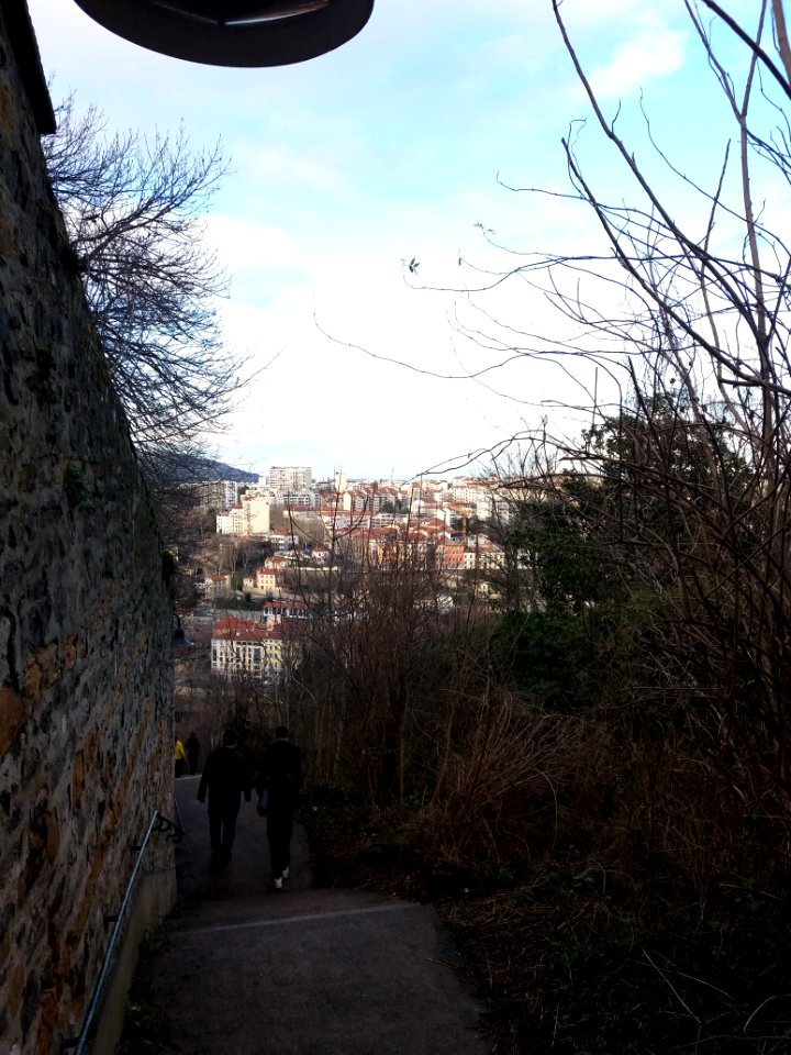 Lyon 5e - Montée de la Sarra - Escalier descendant à la rue du Docteur Rafin
