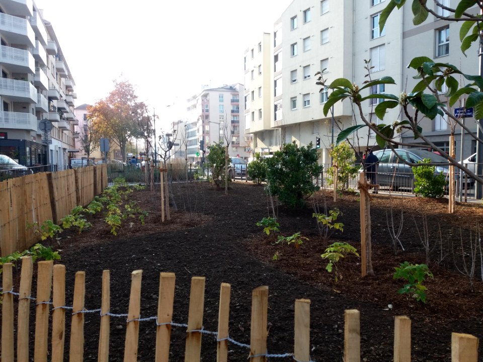 Lyon 8e - Square du 14ème Régiment de Zouaves - Premier verger urbain de la ville (1)