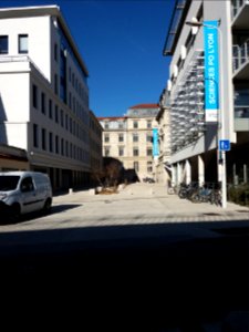 Lyon 7e - Rue du Professeur Charles Appleton