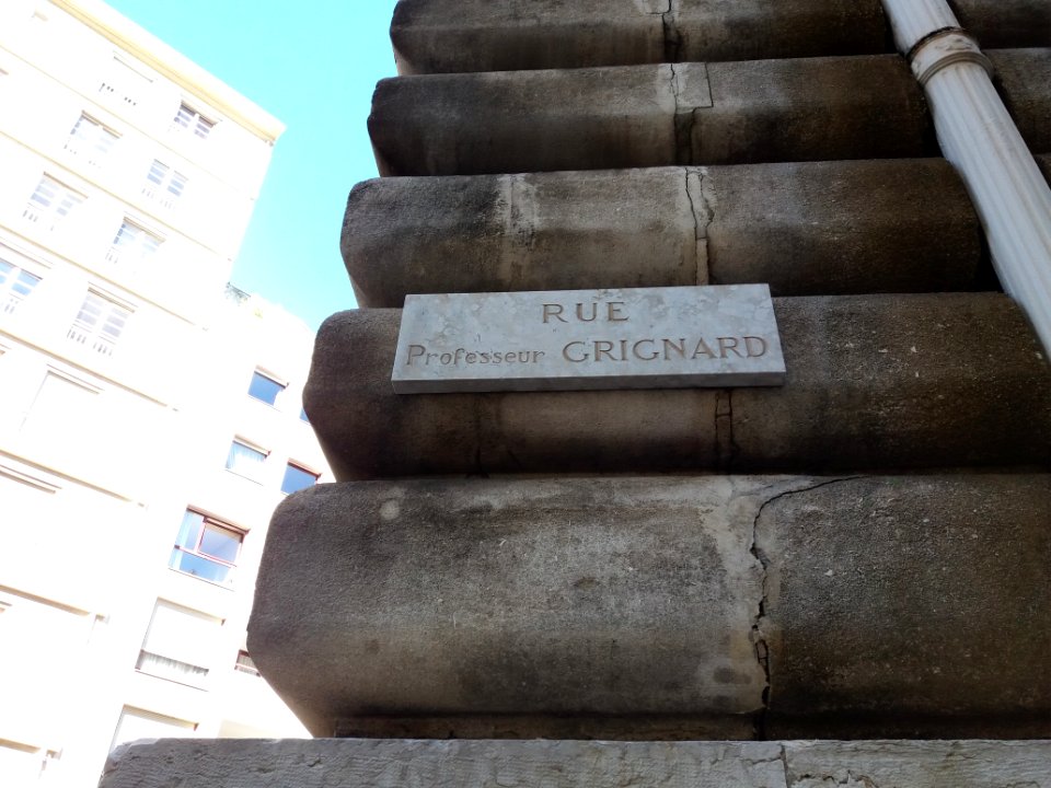 Lyon 7e - Rue du Professeur Grignard, plaque gravée sur le bâtiment de la mairie