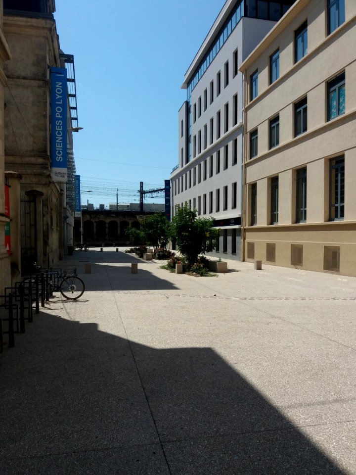Lyon 7e - Rue du Professeur Charles Appleton, depuis la rue Étienne Rognon