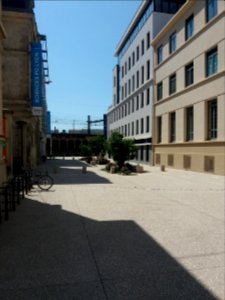 Lyon 7e - Rue du Professeur Charles Appleton, depuis la rue Étienne Rognon