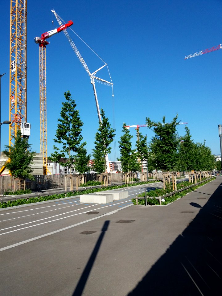 Lyon 7e - Rue des Girondins, installation d'une nouvelle grue sur le chantier sud