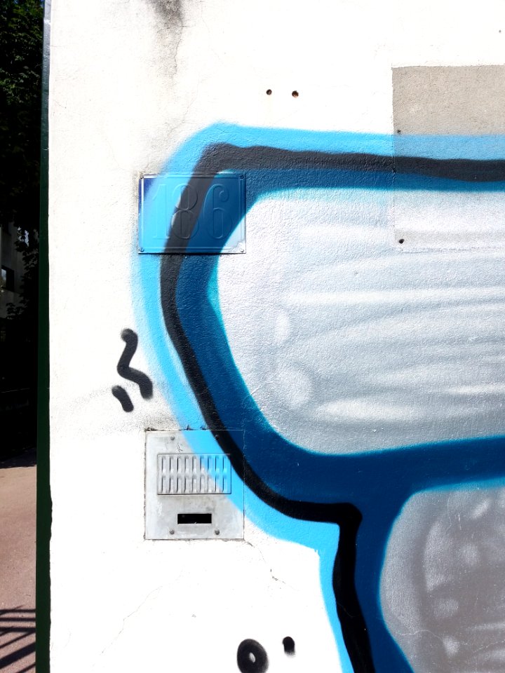 Lyon 7e - Rue de Gerland, numéro 186 recouvert par un tag