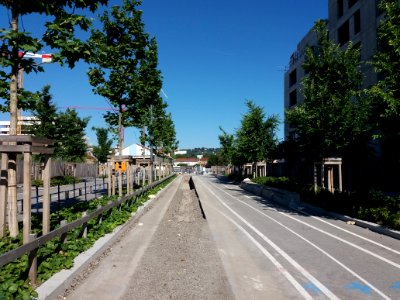 Lyon 7e - Rue des Girondins, côté ouest depuis la rue Michel Félizat, tranchée pour le chauffage urbain