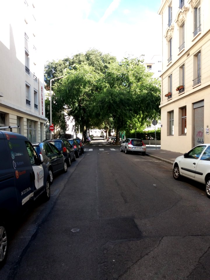 Lyon 7e - Rue du Père Chevrier, vers le sud-est, arbres au niveau de la rue d'Athènes