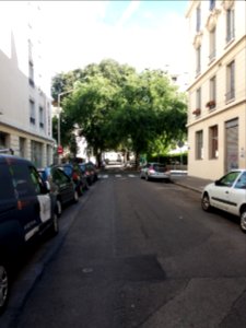 Lyon 7e - Rue du Père Chevrier, vers le sud-est, arbres au niveau de la rue d'Athènes