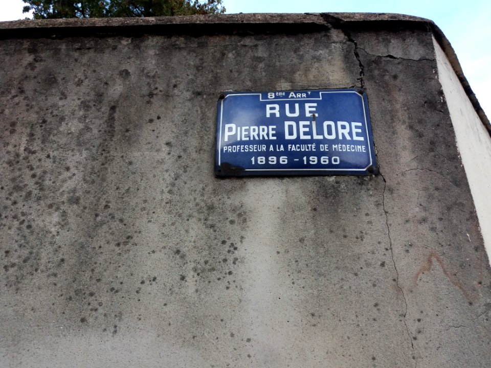 Lyon 8e - Rue Pierre Delore, plaque