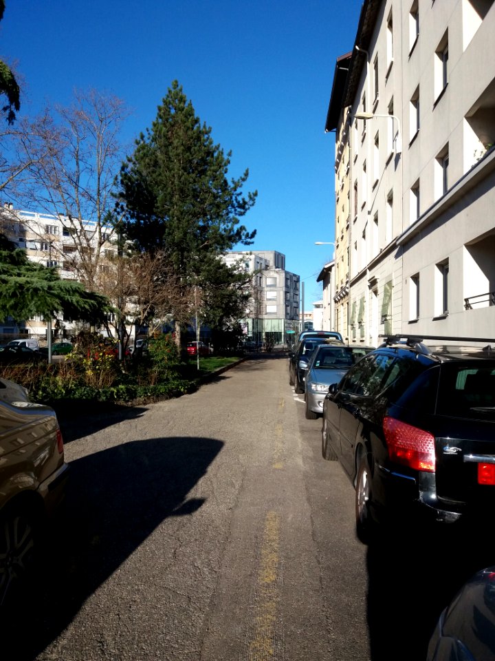 Lyon 8e - Rue Pierre Verger, partie sud, depuis l'avenue Paul Santy