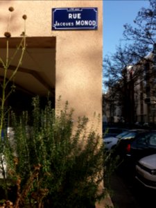 Lyon 7e - Rue Jacques Monod, plaque