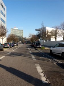 Lyon 7e - Rue de Turin, section arrivant rue Alexander Fleming