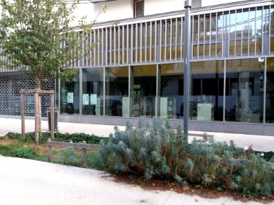 Lyon 7e - Rue Jacques Monod - Bibliothèque de Gerland - Entrée