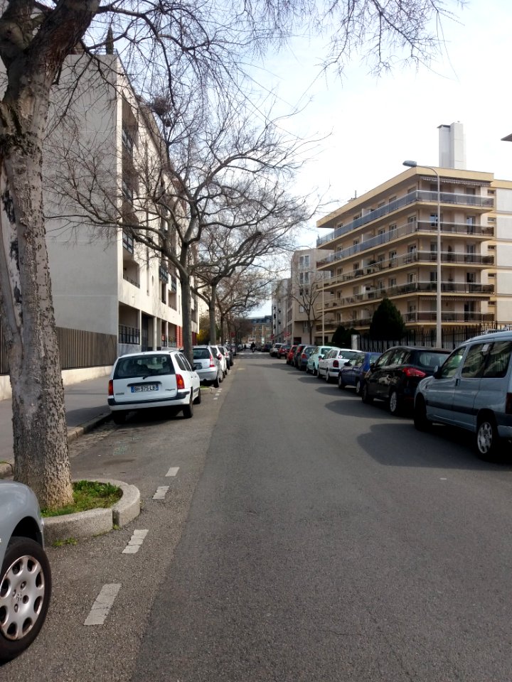 Lyon 7e - Rue du Docteur Crestin, depuis la rue Victorien Sardou