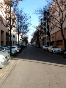Lyon 7e - Rue Jacques Monod, depuis la rue de Saint-Cloud