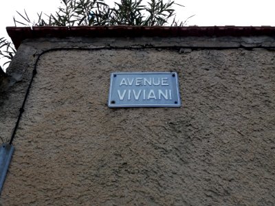 Lyon 8e - Avenue Viviani, vieille plaque