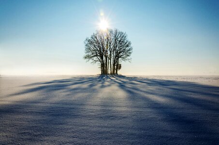 Lonely shadow sunset photo