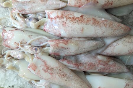 Market seafood fresh