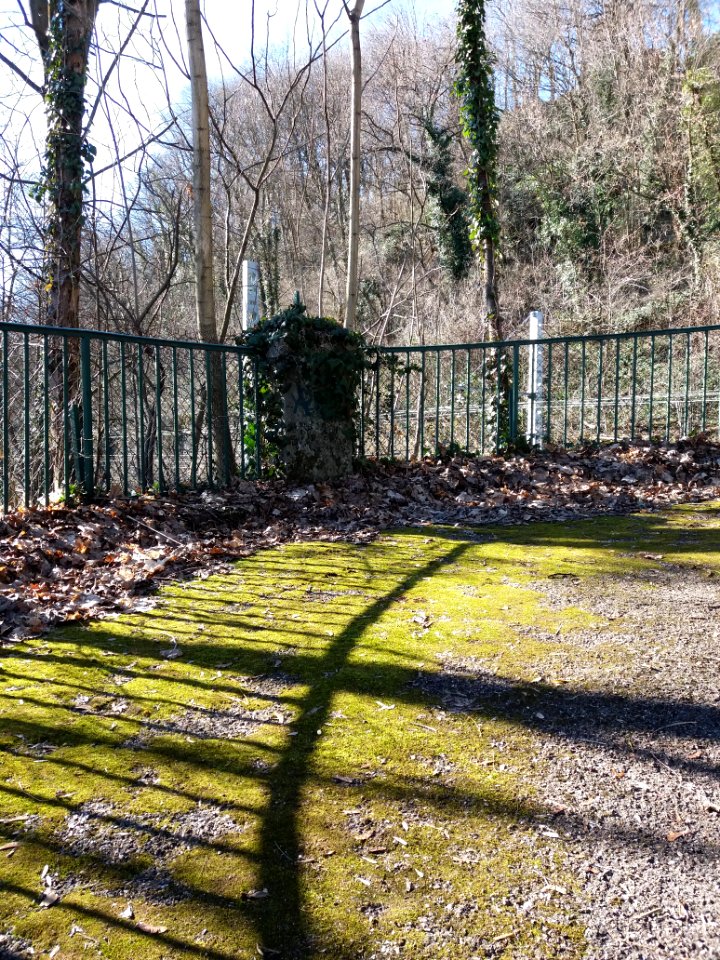 Lyon 9e - Montée de la Sauvagère, angle et mousse