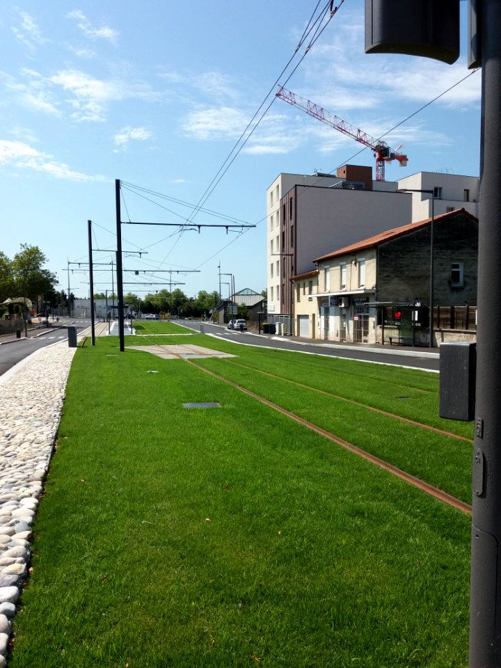 Lyon 8e - Boulevard Pinel, voie d'arrêt du tramway T6, aiguillage