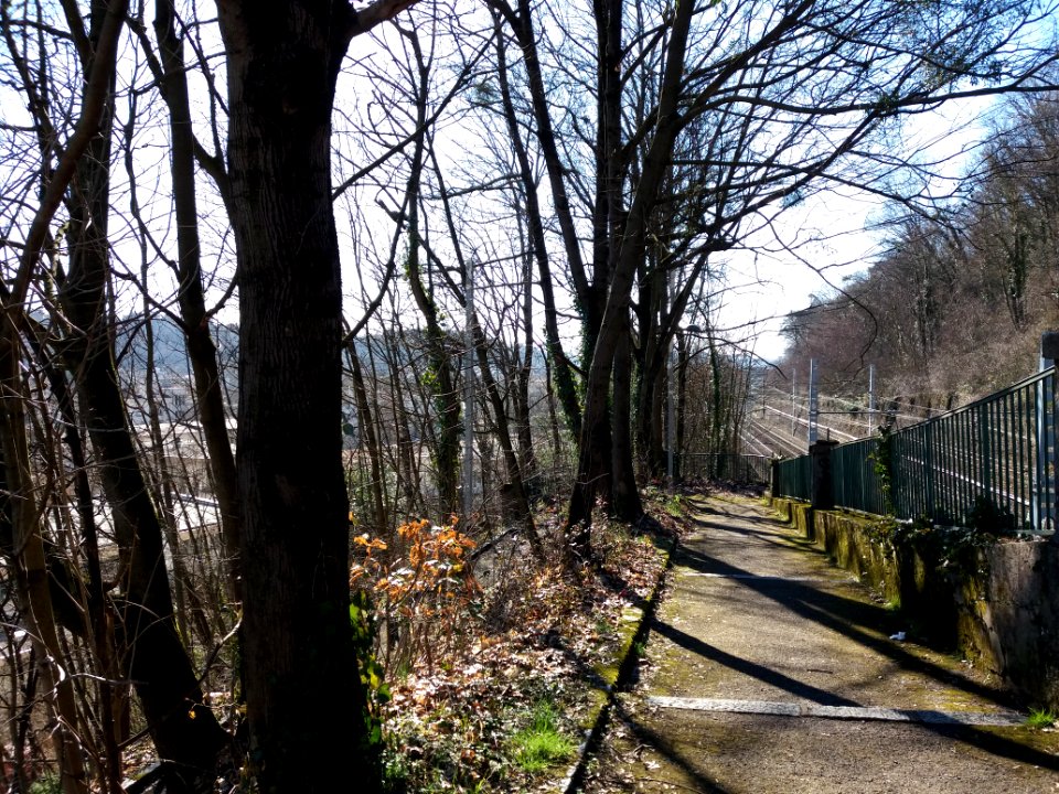 Lyon 9e - Montée de la Sauvagère, descente et voie de chemin de fer