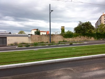 Lyon 8e - Boulevard Pinel, Fondation Richard, cheminée