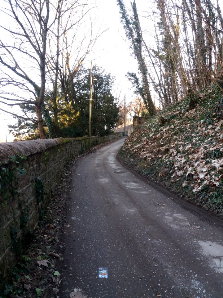 Lyon 9e - Chemin d'accès à la ferme Perraud, donnant sur la rue des Docteurs Cordier