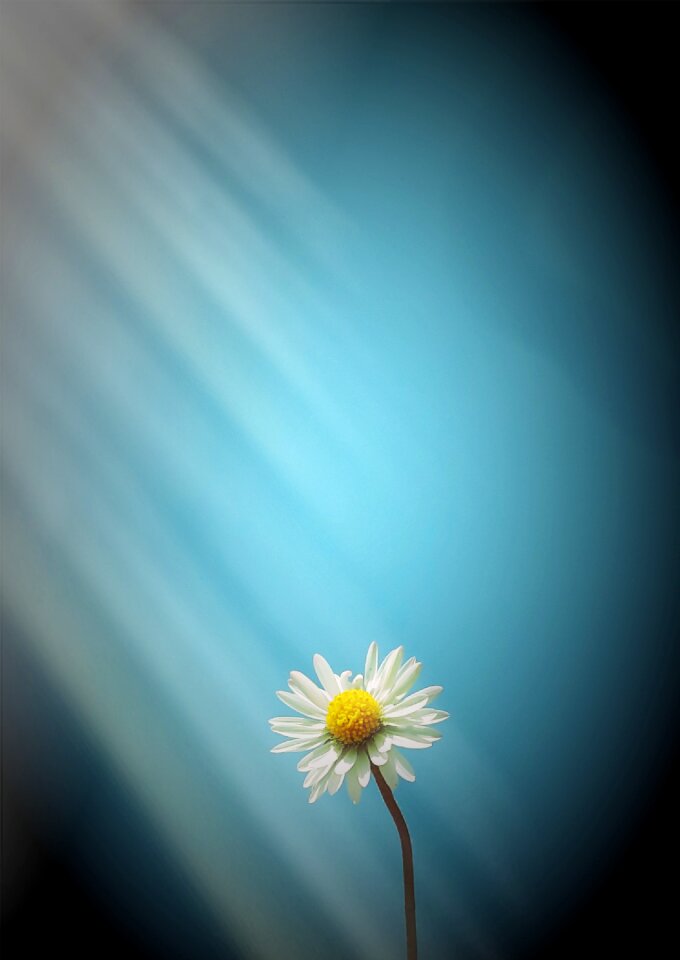 Yellow clear ray of light