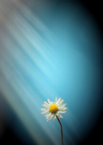 Yellow clear ray of light