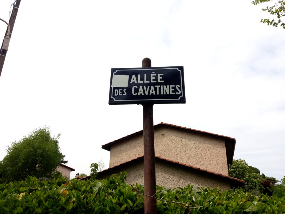 Lyon 9e - Allée des Cavatines - Plaque
