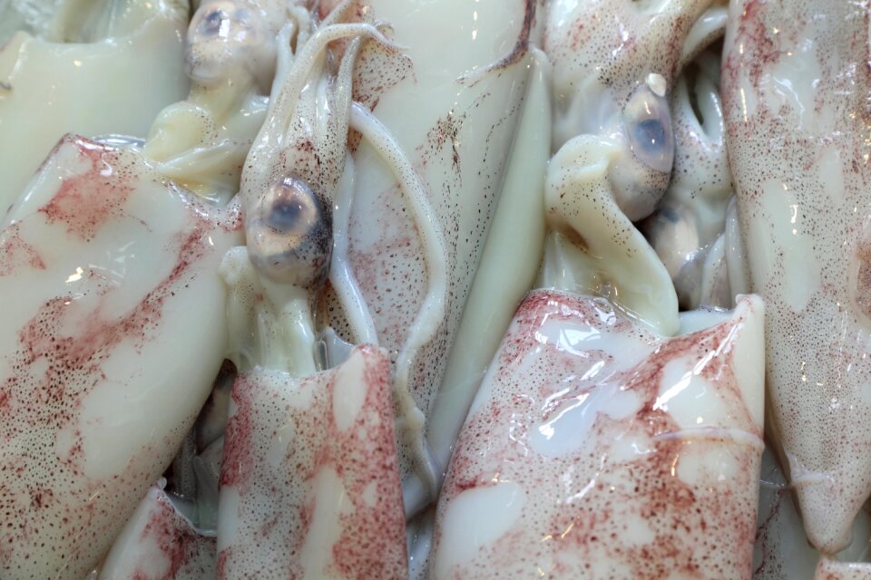 Market seafood fresh