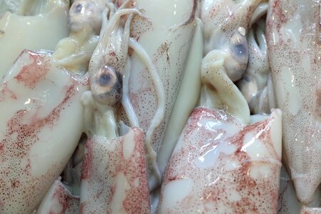 Market seafood fresh
