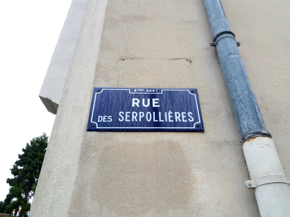Lyon 8e - Rue des Serpollières, plaque