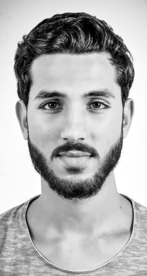 Portrait beard gray portrait