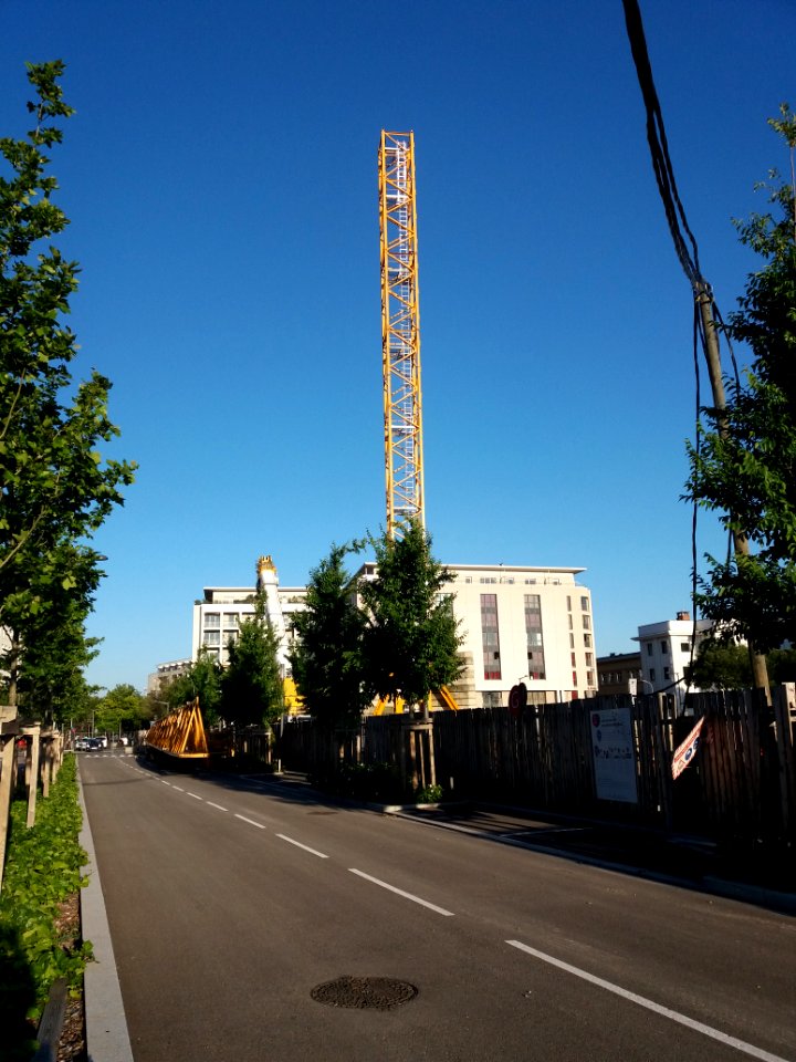 Lyon 7e - Rue des Girondins, installation d'une grue sur la place Antoinette Fouque (2)