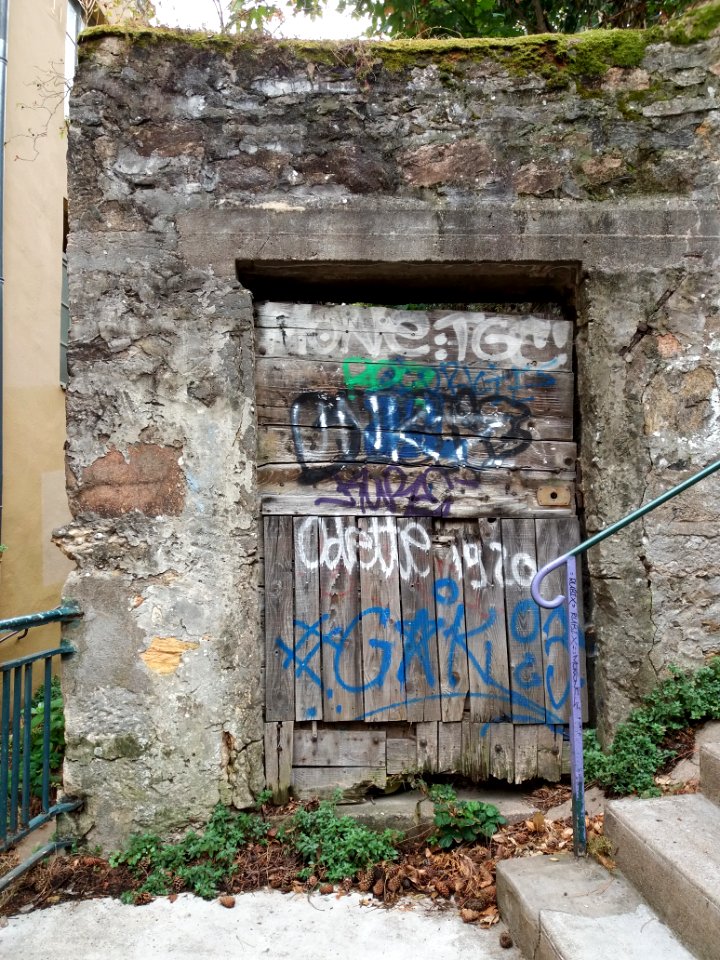 Lyon 9e - Montée de la Sarra - Porte avec graffiti