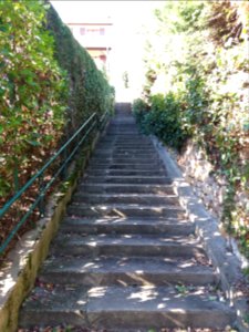 Lyon 9e - Montée de la Sauvagère, escalier qui arrive à la rue Jean-Baptiste Chopin