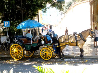 Málaga - Coche de caballos