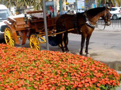 Málaga - Plaza de la Marina 3