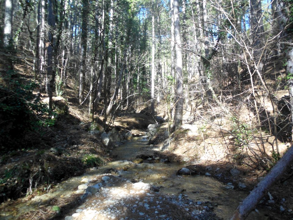 LyukaRiver 2
