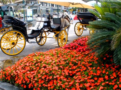 Málaga - Plaza de la Marina 2