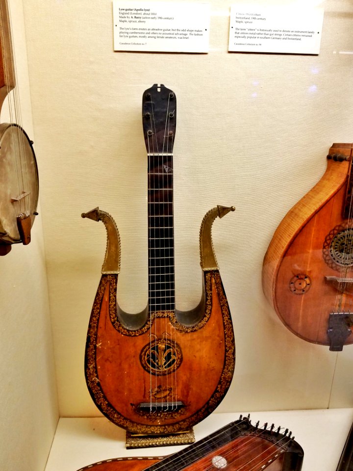 Lyre guitar (Apollo lyre), made by A. Barry, London, England, c. 1810, maple, spruce, ebony - Casadesus Collection of Historic Musical Instruments - Boston Symphony Orchestra - 20190927 125131