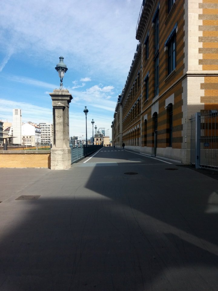Lyon 8e - Allée Hannah Arendt, depuis l'avenue des Frères Lumière