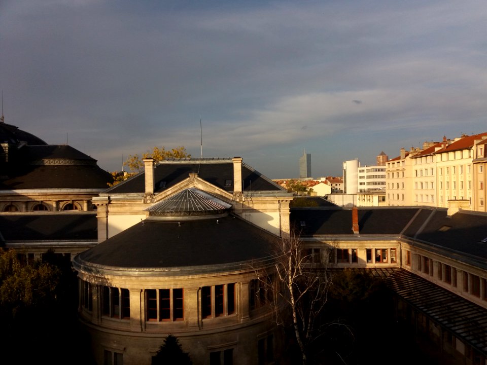 Lyon 7e - Université Lyon 2, rotonde et vue sur Lyon au coucher du soleil
