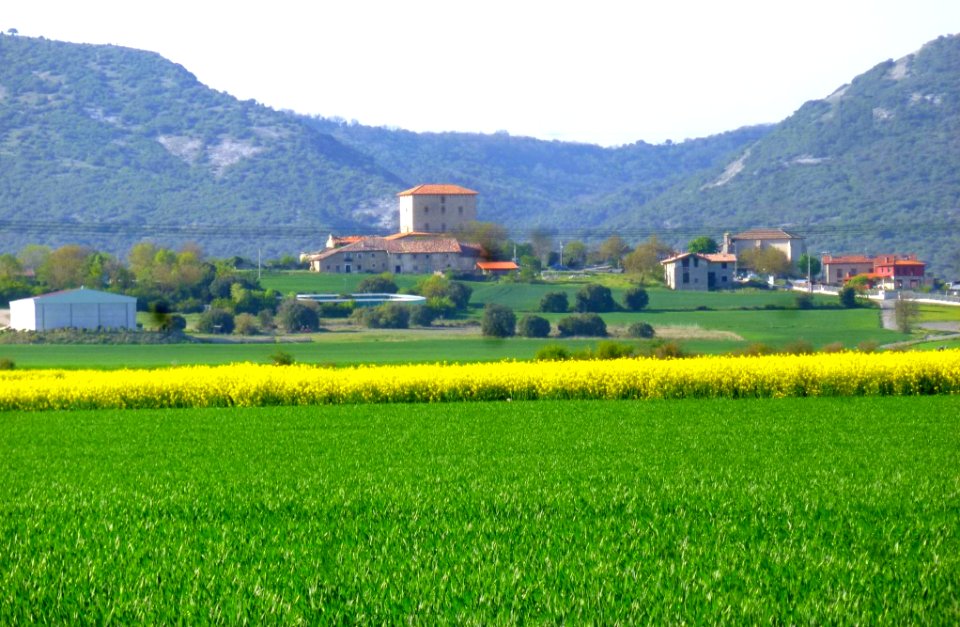 Mártioda 01