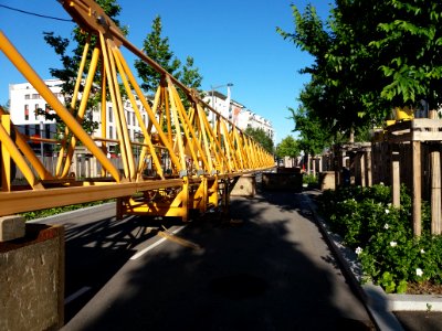 Lyon 7e - Rue des Girondins, installation d'une grue plaque Antoinette Fouque, suite (4)