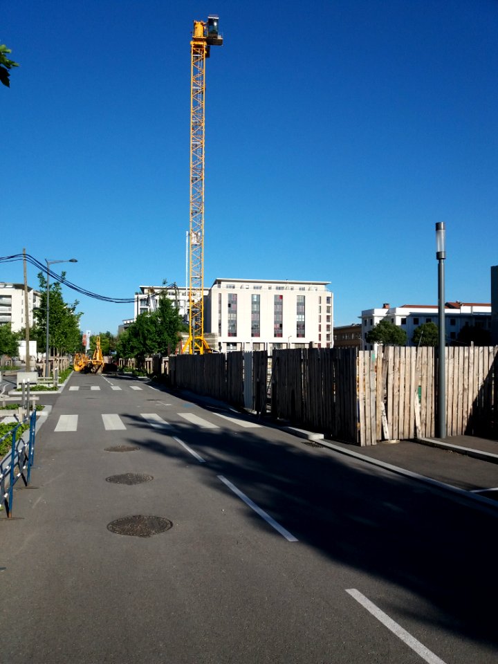 Lyon 7e - Rue des Girondins, installation d'une grue plaque Antoinette Fouque, suite (1)