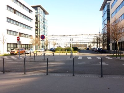 Lyon 7e - Rue Professeur Hubert Curien, depuis la rue Jonas Salk