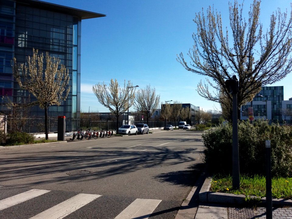 Lyon 7e - Rue Professeur Jean Bernard, depuis le boulevard Chambaud de la Bruyère