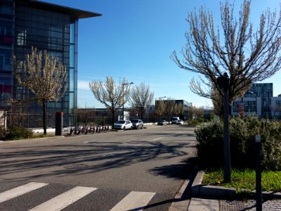 Lyon 7e - Rue Professeur Jean Bernard, depuis le boulevard Chambaud de la Bruyère